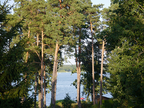 Blick auf den Scharmützelsee Blick auf den Scharmützelsee